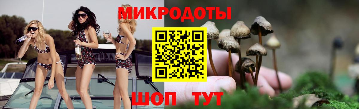 Галлюциногенные грибы мицелий  Псилоцибиновые грибы прущие грибы  Балтийск  Вход с VPN 